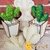 180F - Cacto Orelha de Coelho - Frisadores em Resina - Drisol Artes