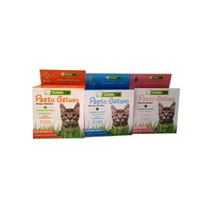 KIT PASTO GATUNO