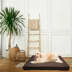 chewproof dog bed 