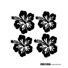 Planchitas- Flores Hawaianas