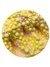 Slime Rosa Com Bolinhas Amarelas - comprar online