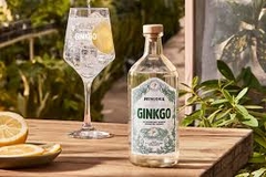 Gin Ginkgo 500cc (Cervecería Patagonia) - comprar online