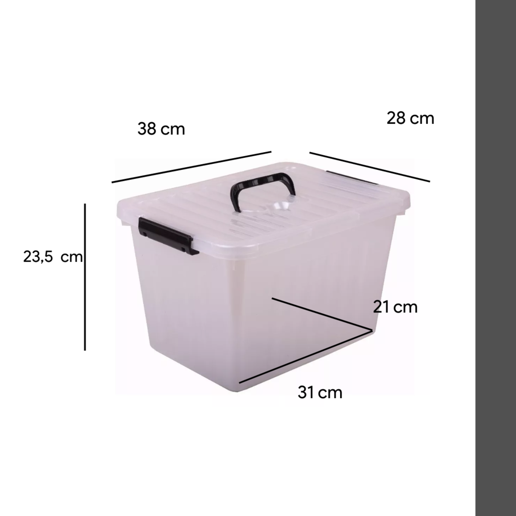 Caja Organizadora Plastica con Tapa 24 L