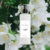 White Jasmine & Mint | Body Lotion