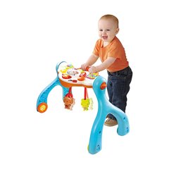 Imagen de VTECH BABY GIMANSIO 4 EN 1 80156622 +0M