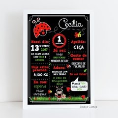 Quadro chalkboard tema Joaninha