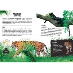LIBRO + MAQUETA 3D - ANIMALES DE LA SELVA : ELEFANTE - MANOLITO BOOKS en internet