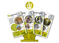 CARTAS ANIMALES ASOMBROSOS LUMINIAS en internet