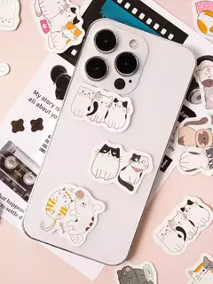 Caja con 46 stickers gatitos - Capkelitos