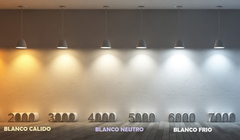 Panel Plafón Led 12w Redondo Aplicar Negro Macroled 6000k - tienda online