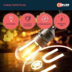 Guirnalda Led 10 Metros + 20 Bulbos Kermese Luz Calida en internet