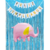 Combo Fiesta Cumpleaños Globos Temática Elefante Rosa