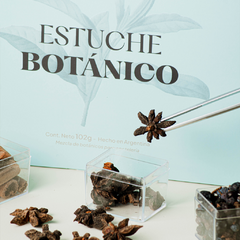 Box Premium Estuche Botánico Sur Gin - FIKA