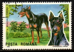 00928 Romênia 3873 Exposição canina Cães Cachorro U