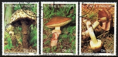 02560 São Tomé e Príncipe 1091/93 Cogumelos U