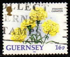 02586 Guernsey 569 Flores da Região U (b)