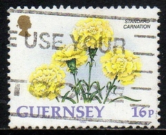 02586 Guernsey 569 Flores da Região U (c)