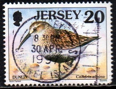 02730 Jersey 834 Pássaros Marinhos U (c)