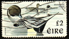 04376 Irlanda 1063 Pássaros Patos U