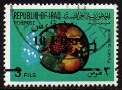 05039 Iraque 740 Frutas U