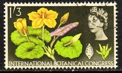 05106 Inglaterra 394 Botânica Flores U