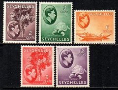 05268 Seychelles 118/22 Pássaro Peixe Tartaruga NN