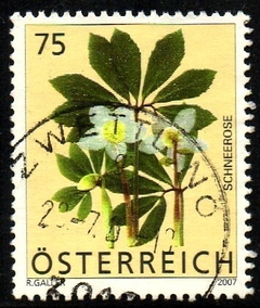 05303 Áustria 2459 Flores U