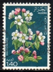 09361 Argélia 682 Flores Diversas U © (c)