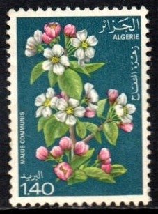 09361 Argélia 682 Flores Diversas N