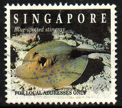 09664 Singapura 728 Fauna Marinha U (h)