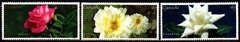 09671 Canada 1882/83 + 1885 Flores Rosas U