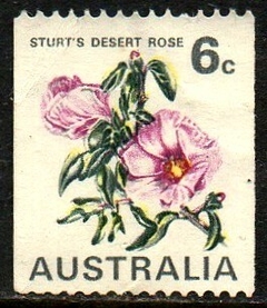 09993 Austrália 415 Flores N