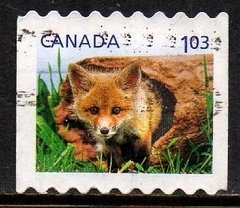 10470 Canada 2571 Animais Diversos Filhotes U (a)