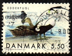 10736 Dinamarca 1224 Pássaros Migratórios U (b)
