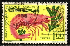13513 Marrocos 493 Camarão U (a)