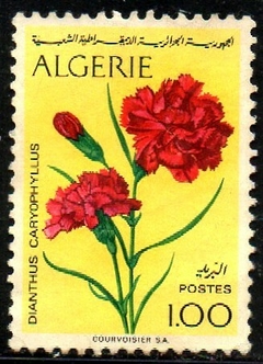 13581 Argélia 570 Flores U (a)