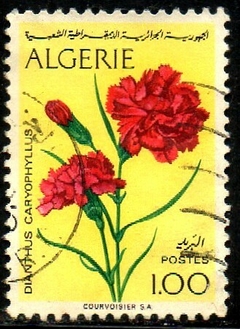 13581 Argélia 570 Flores U