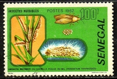 13789 Senegal 572 Insetos e Plantas U