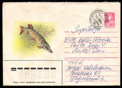 18011 Rússia Inteiro Postal Peixes U