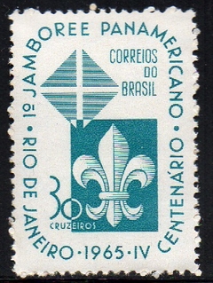 Brasil C 0533 Escotismo 1965 NNN