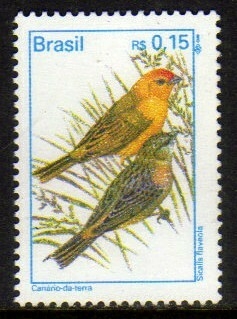 Brasil 718 Pássaros Urbanos NNN