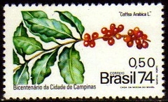 Brasil C 0863 Campinas Café 1974 NNN