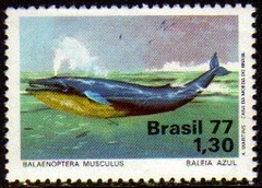 Brasil C 0989 Defesa do Meio Ambiente Baleia Azul 1977 NNN