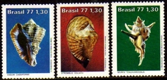 Brasil C 0992/94 Moluscos Conchas 1977 NNN