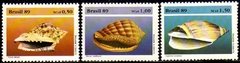 Brasil C 1645/47 Moluscos Conchas Preservação 1989 NNN