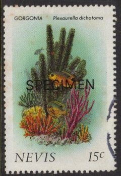 10553 Nevis 419 Peixes Flora Marinha Specimen U