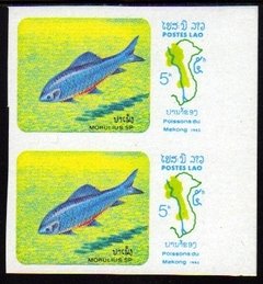 11087 Laos Peixes Variedade par sem denteação Nnn