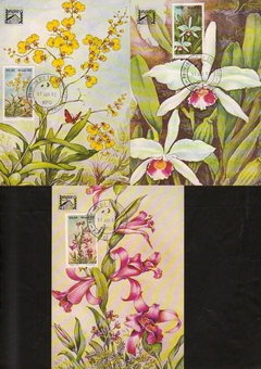 Brasil Máximo Postal 068/070 Brapex Orquídeas 1982