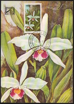 Brasil Máximo Postal 068 Brapex Orquídeas 1982