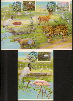 Brasil Máximo Postal 098 /100 Pantanal Animais Diversos 1984